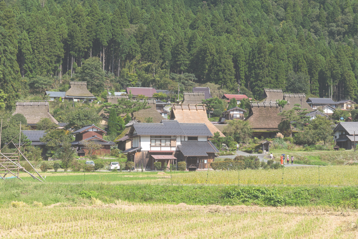 A small group of houses beside fields and forest in the Japanese countryside